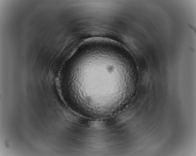 X0000097850273200803141223