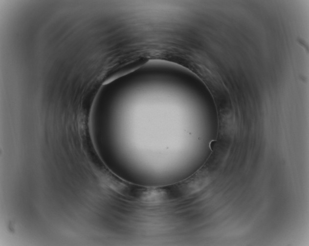 X0000097850274200803141223