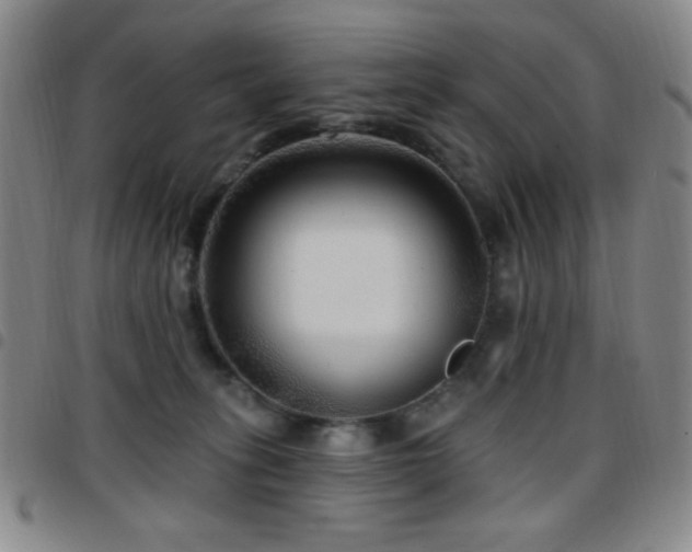X0000097850275200803141223
