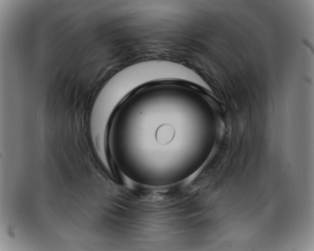 X0000097850276200803141223