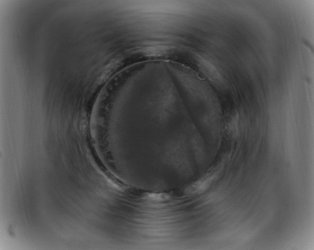 X0000097850277200803141223