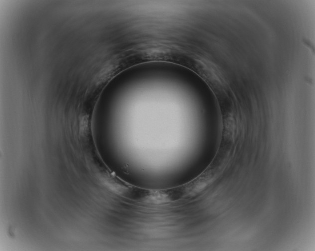 X0000097850278200803141223