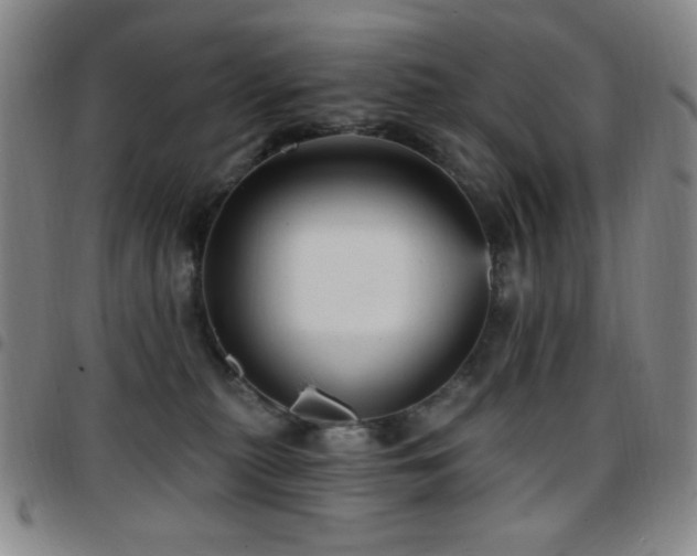 X0000097850279200803141223