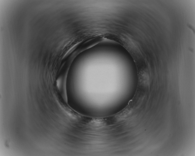 X0000097850280200803141223