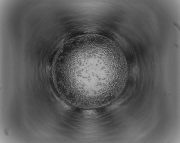 X0000097850281200803141224