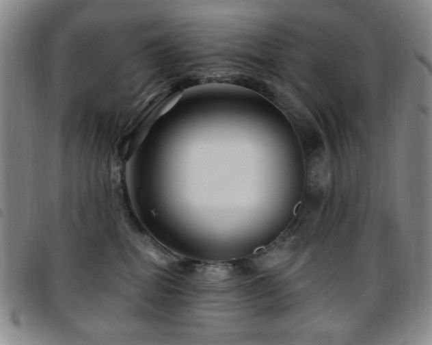 X0000097850282200803141224