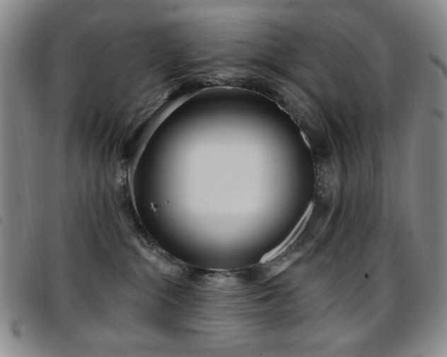 X0000097850284200803141224