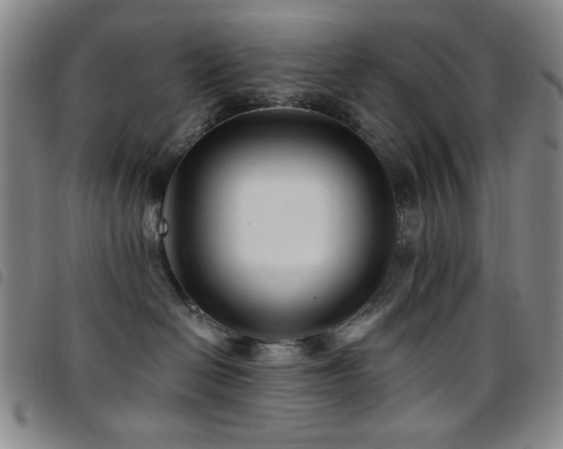 X0000097850286200803141224