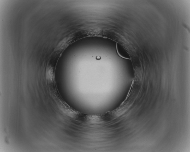 X0000097850287200803141224