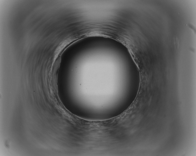 X0000097850289200803141223