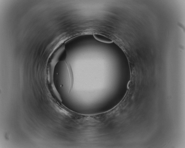 X0000097850290200803141223