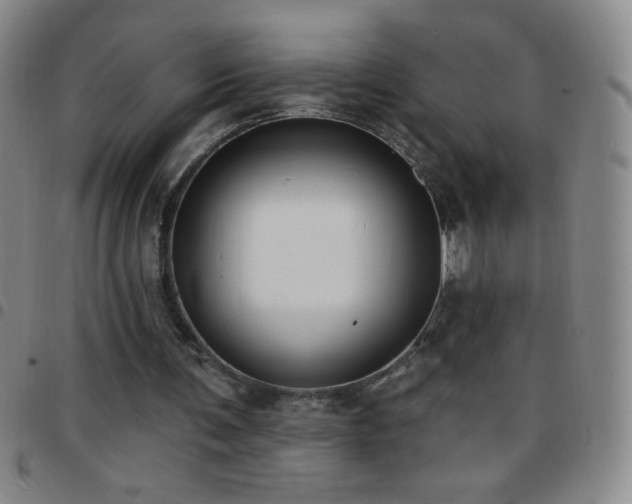 X0000097850291200803141223