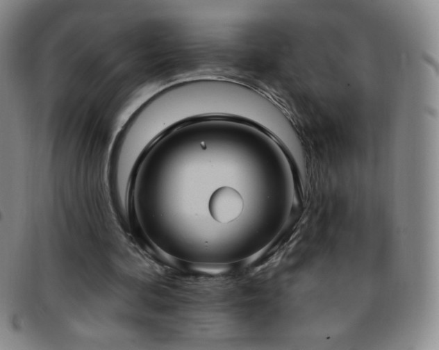X0000097850292200803141223