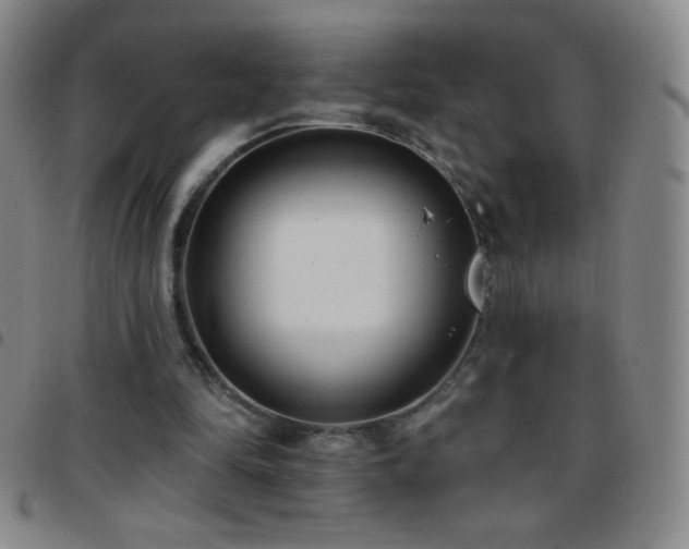 X0000097850294200803141223