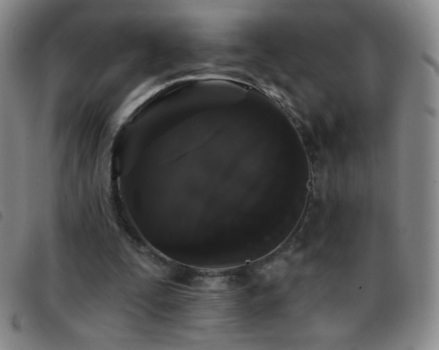X0000097850295200803141223