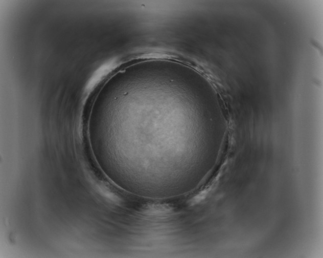 X0000097850296200803141223