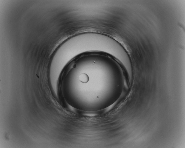 X0000097850297200803141223