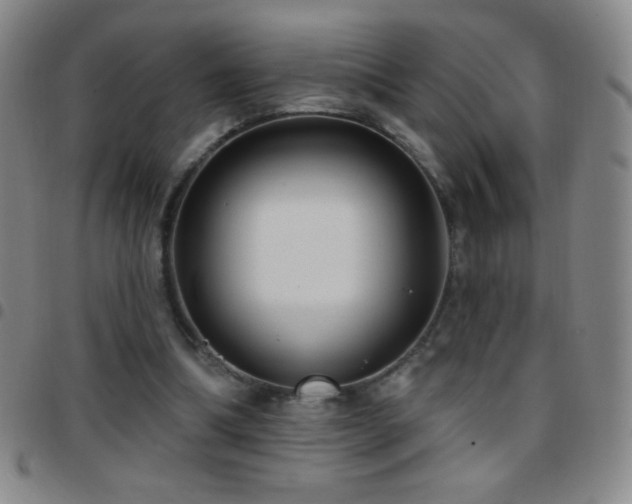 X0000097850298200803141223