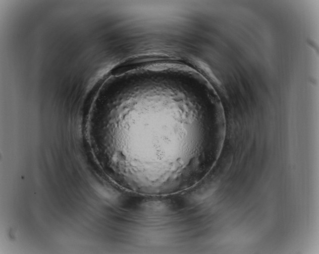 X0000097850299200803141223