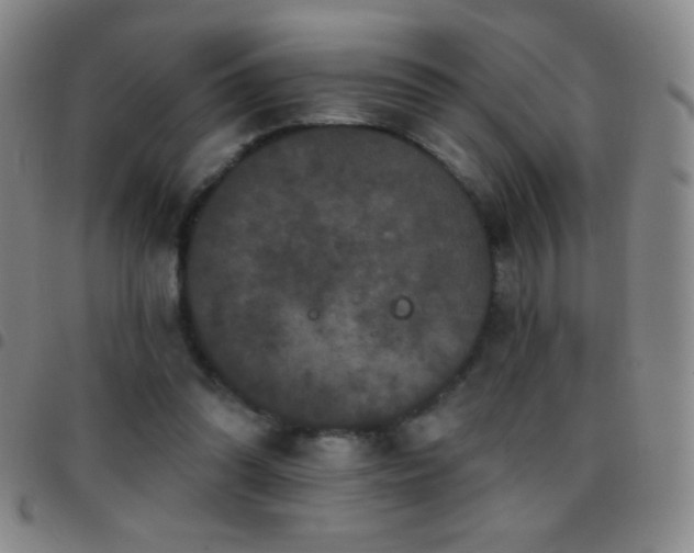 X0000097850302200803141223