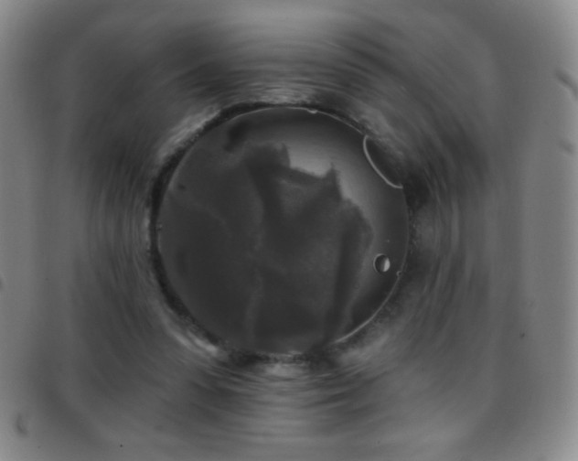 X0000097850303200803141223