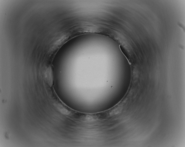 X0000097850305200803141223