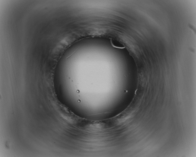 X0000097850307200803141223