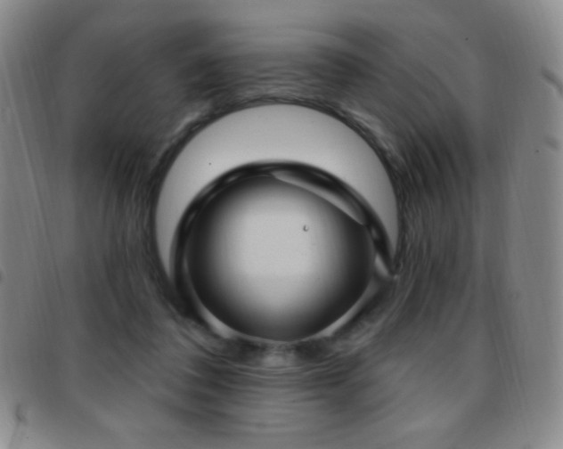 X0000097850308200803141223