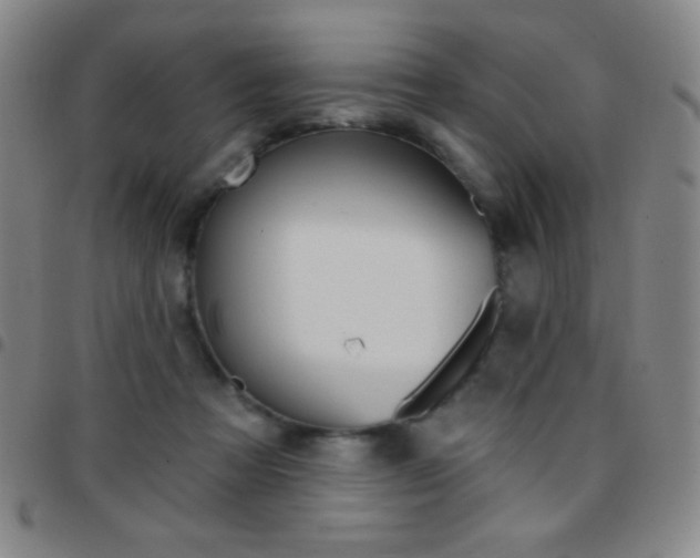 X0000097850313200803141223