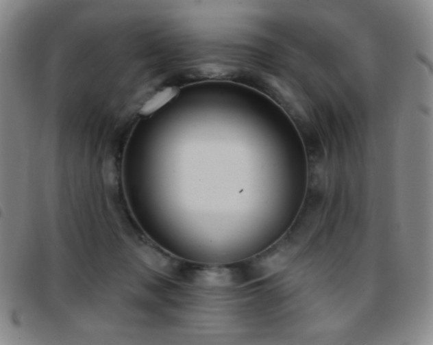 X0000097850317200803141223