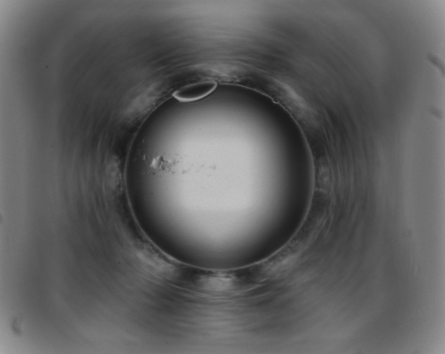 X0000097850318200803141223