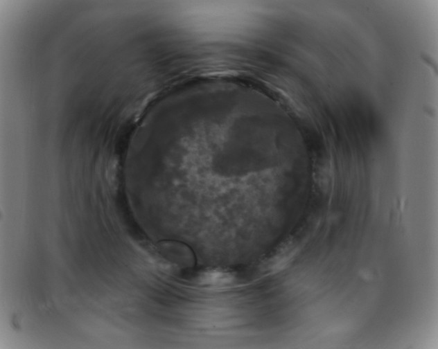 X0000097850319200803141223
