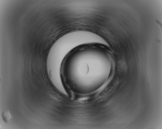 X0000097850320200803141223