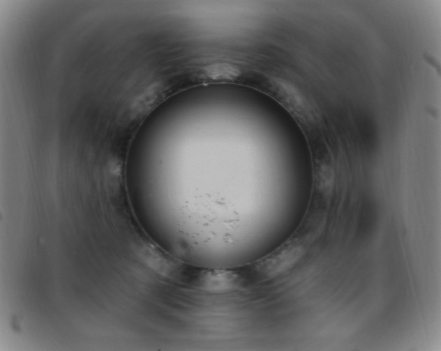 X0000097850321200803141223