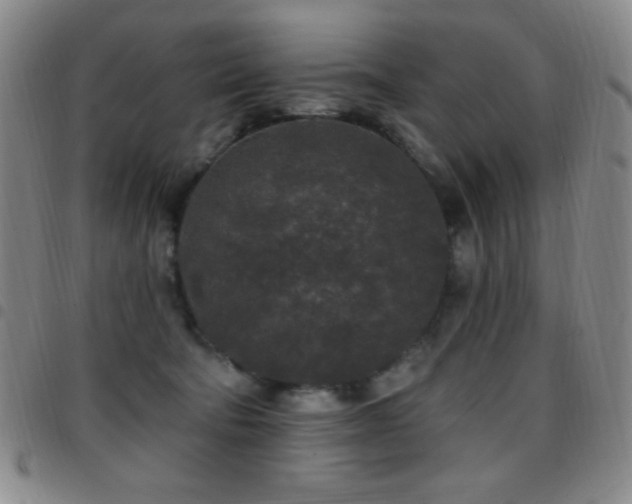X0000097850322200803141222
