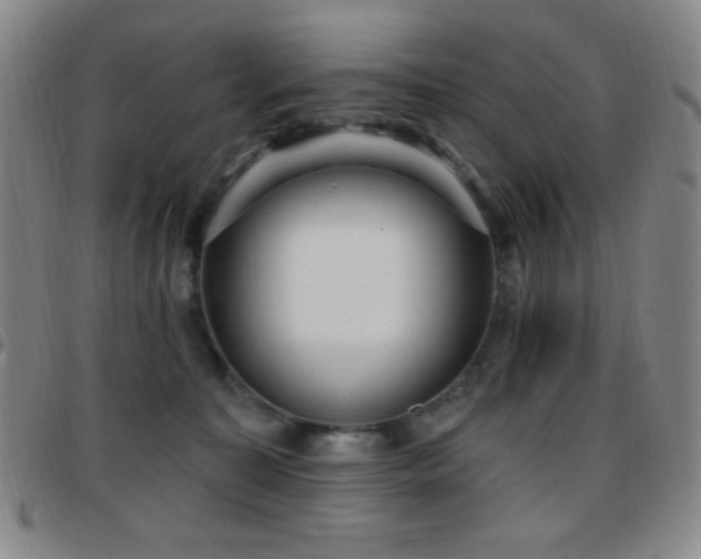 X0000097850323200803141222