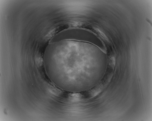 X0000097850324200803141222