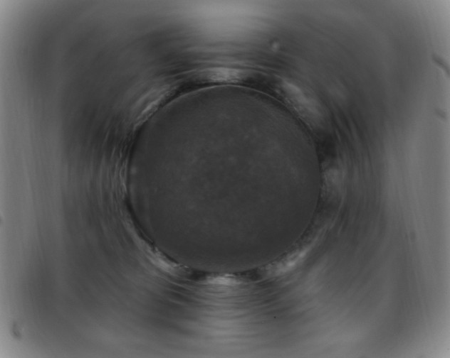 X0000097850325200803141222