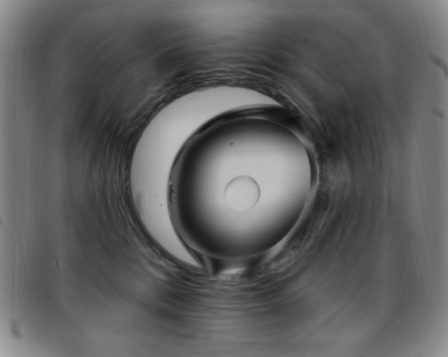 X0000097850328200803141222