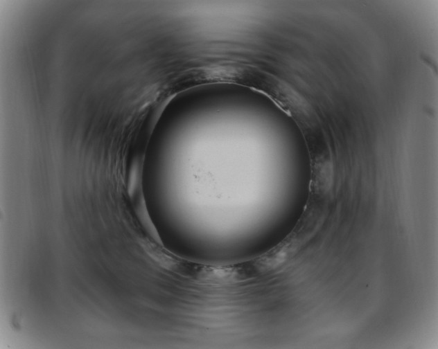 X0000097850329200803141222