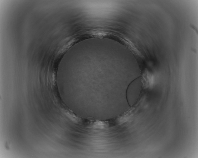 X0000097850330200803141222