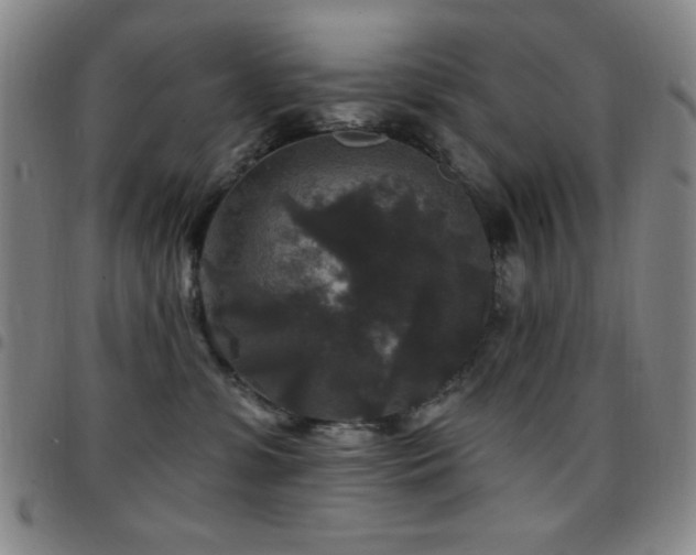 X0000097850331200803141222