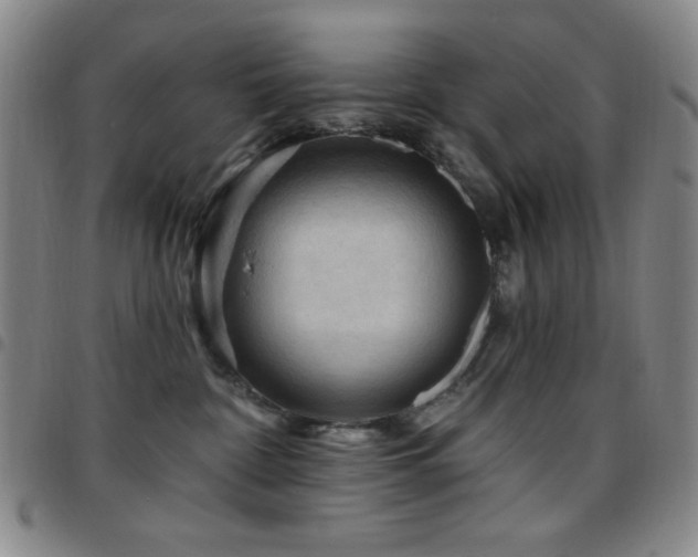 X0000097850332200803141222