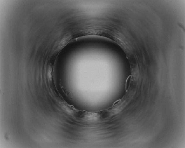 X0000097850334200803141222