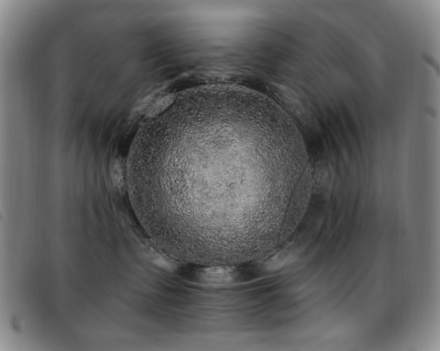 X0000097850335200803141222
