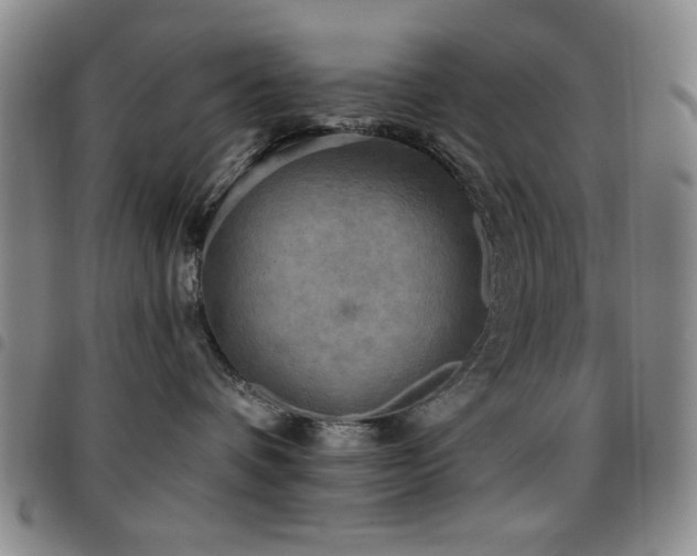 X0000097850336200803141222
