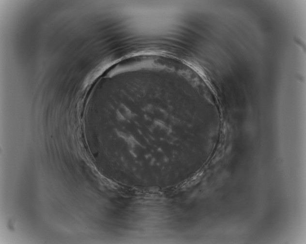 X0000097850337200803141221