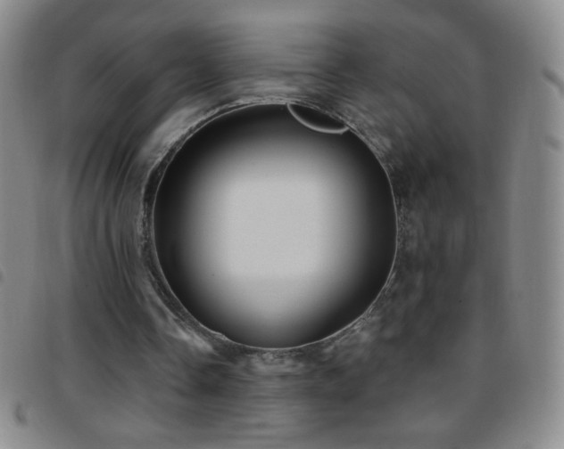 X0000097850338200803141221
