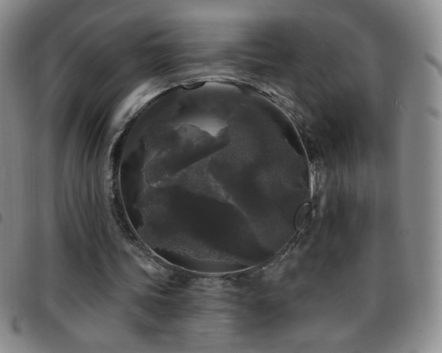 X0000097850339200803141221