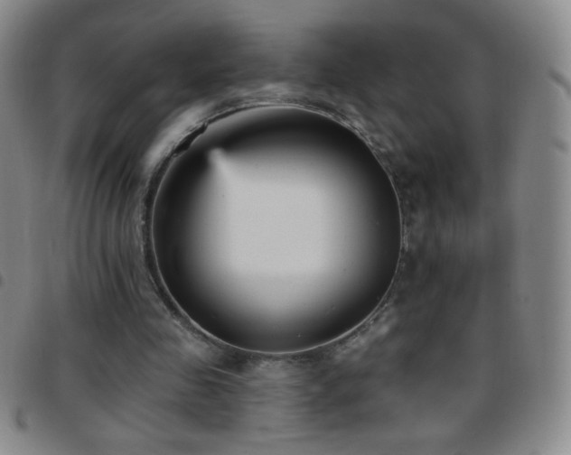 X0000097850341200803141222